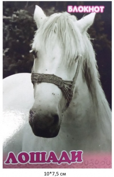 Блокнот Лошади 10х7,5 см №2 розовый 16 стр. Блокнот Лошади 10х7,5 см №2 розовый 16 стр.