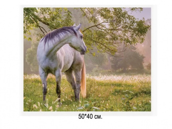 Алмазная мозаика арт. GLE72328 Лошадь 40*50 полная выкладка на подрамнике