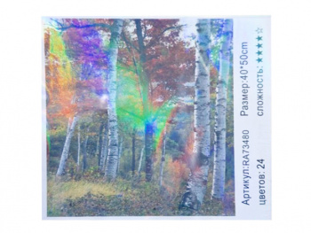 Картина по номерам арт. RA73480 Березовая роща 40*50 в кор.