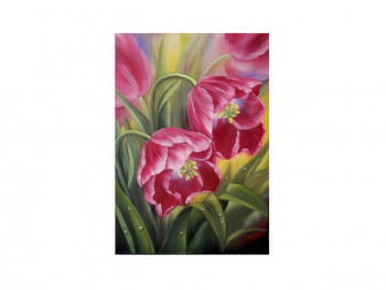 Картина по номерам арт. RA73926 Тюльпаны 40*50 в кор. Картина по номерам арт. RA73926 Тюльпаны 40*50 в кор.