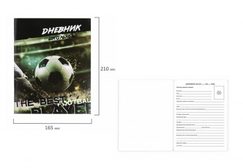 кс_Дневник 1-11 класс арт. 106817 40 л. на скобе ПИФАГОР обложка картон "Футбол"