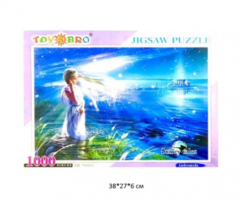 Пазл арт. 100410 "Волшебная ночь" 1000 дет. в кор._ Пазл арт. 100410 "Волшебная ночь" 1000 дет. в кор._