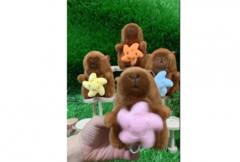 им Капибара арт. 240722-3/YE24212-7 Брелок заводной цвета микс с цветком на животе пак.)